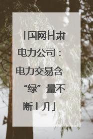 国网甘肃电力公司：电力交易含“绿”量不断上升