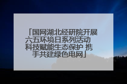 国网湖北经研院开展六五环境日系列活动 科技赋能生态保护 携手共建绿色电网
