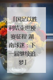 国足以胜利结束世预赛征程 湖南球迷：下一届继续追梦