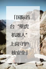 国际首台“壁虎机器人”上岗守护核安全