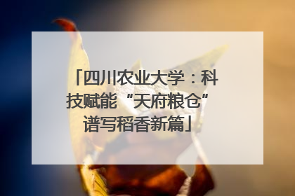 四川农业大学：科技赋能“天府粮仓”谱写稻香新篇