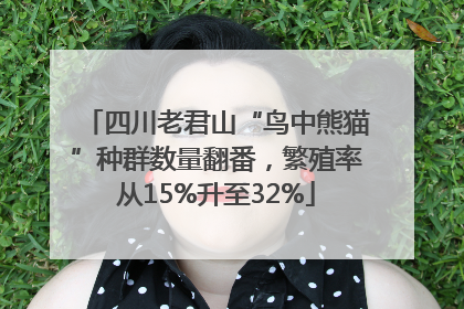 四川老君山“鸟中熊猫”种群数量翻番，繁殖率从15%升至32%