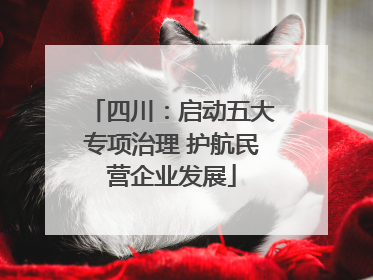 四川：启动五大专项治理 护航民营企业发展