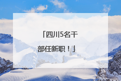 四川5名干部任新职！