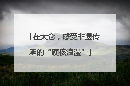在太仓，感受非遗传承的“硬核浪漫”
