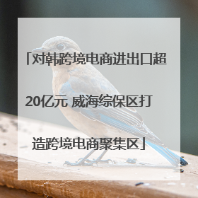 对韩跨境电商进出口超20亿元 威海综保区打造跨境电商聚集区