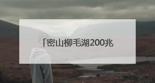 密山柳毛湖200兆瓦风电储能项目并网