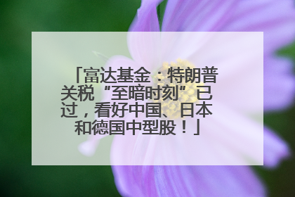 富达基金：特朗普关税“至暗时刻”已过，看好中国、日本和德国中型股！