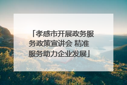 孝感市开展政务服务政策宣讲会 精准服务助力企业发展