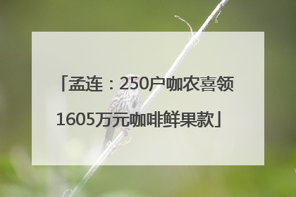 孟连：250户咖农喜领1605万元咖啡鲜果款
