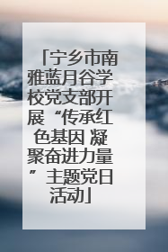 宁乡市南雅蓝月谷学校党支部开展“传承红色基因 凝聚奋进力量”主题党日活动