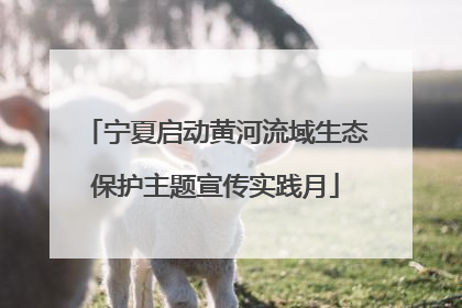 宁夏启动黄河流域生态保护主题宣传实践月