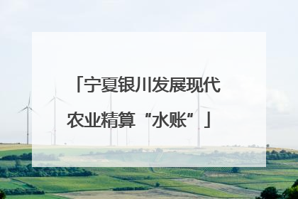 宁夏银川发展现代农业精算“水账”
