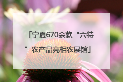 宁夏670余款“六特”农产品亮相农展馆