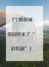 宁德蕉城：果园里来了“科特派”