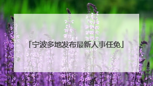 宁波多地发布最新人事任免
