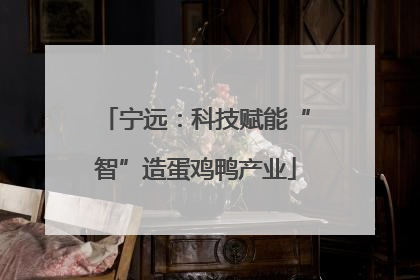 宁远：科技赋能“智”造蛋鸡鸭产业