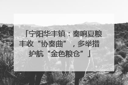 宁阳华丰镇：奏响夏粮丰收“协奏曲”，多举措护航“金色粮仓”