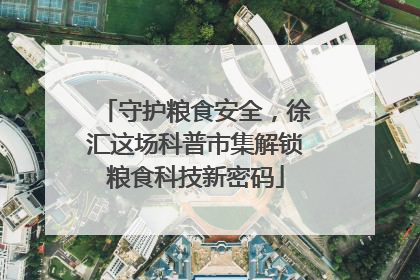 守护粮食安全，徐汇这场科普市集解锁粮食科技新密码