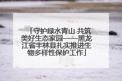 守护绿水青山 共筑美好生态家园——黑龙江省丰林县扎实推进生物多样性保护工作