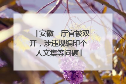 安徽一厅官被双开，涉违规编印个人文集等问题
