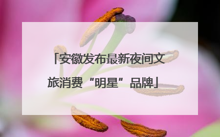 安徽发布最新夜间文旅消费“明星”品牌