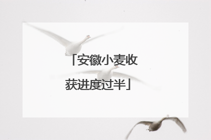 安徽小麦收获进度过半