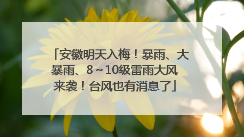 安徽明天入梅！暴雨、大暴雨、8～10级雷雨大风来袭！台风也有消息了