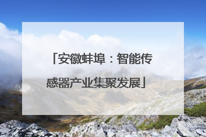 安徽蚌埠：智能传感器产业集聚发展