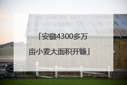 安徽4300多万亩小麦大面积开镰