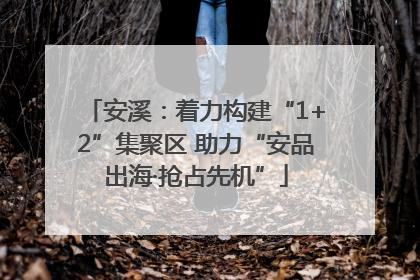 安溪：着力构建“1+2”集聚区 助力“安品出海·抢占先机”