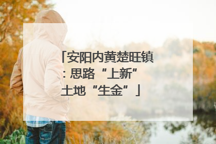 安阳内黄楚旺镇：思路“上新” 土地“生金”