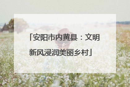 安阳市内黄县：文明新风浸润美丽乡村