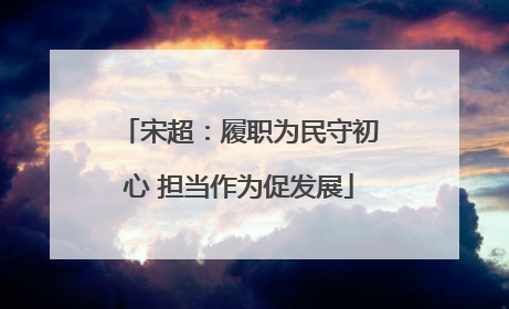 宋超：履职为民守初心 担当作为促发展