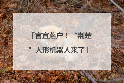 官宣落户！“荆楚”人形机器人来了