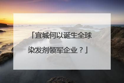 宜城何以诞生全球染发剂领军企业？