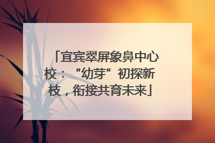宜宾翠屏象鼻中心校：“幼芽”初探新枝，衔接共育未来