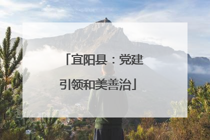 宜阳县：党建引领和美善治