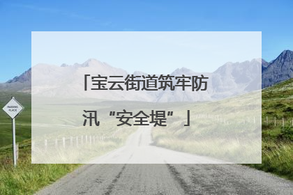 宝云街道筑牢防汛“安全堤”