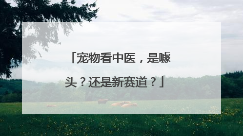 宠物看中医，是噱头？还是新赛道？