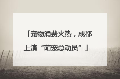 宠物消费火热，成都上演“萌宠总动员”