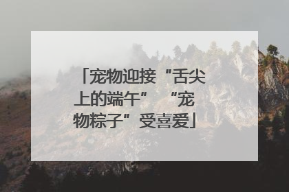 宠物迎接“舌尖上的端午” “宠物粽子”受喜爱
