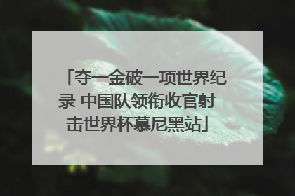 夺一金破一项世界纪录 中国队领衔收官射击世界杯慕尼黑站