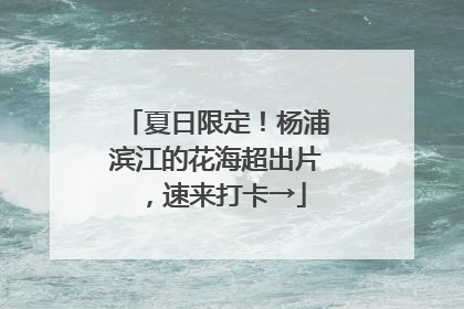 夏日限定！杨浦滨江的花海超出片，速来打卡→