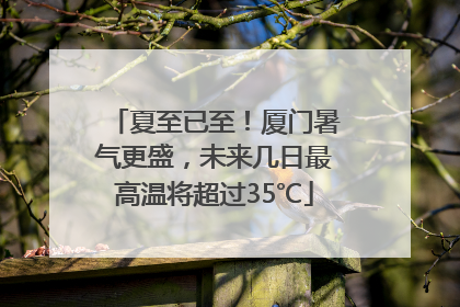 夏至已至！厦门暑气更盛，未来几日最高温将超过35℃