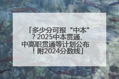 多少分可报“中本”？2025中本贯通、中高职贯通等计划公布！附2024分数线