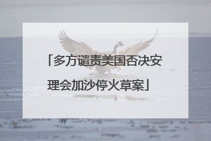 多方谴责美国否决安理会加沙停火草案