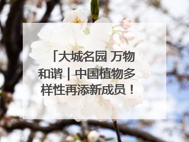 大城名园 万物和谐｜中国植物多样性再添新成员！它只在西藏墨脱