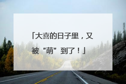 大喜的日子里，又被“萌”到了！