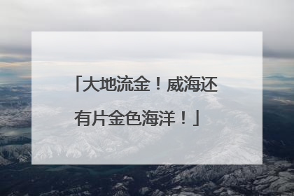 大地流金！威海还有片金色海洋！